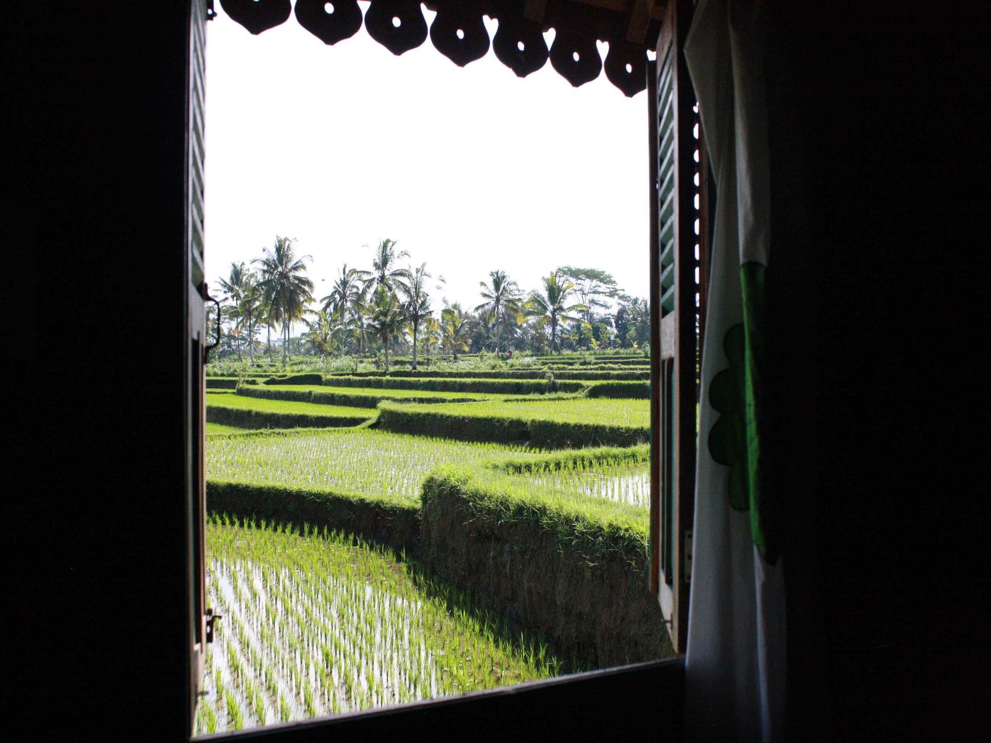 Hati Padi Cottages Ubud  Exterior photo