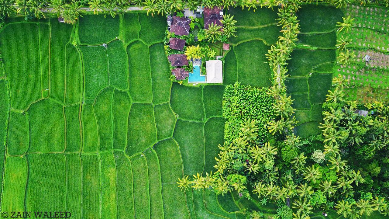 Hati Padi Cottages Ubud  Exterior photo