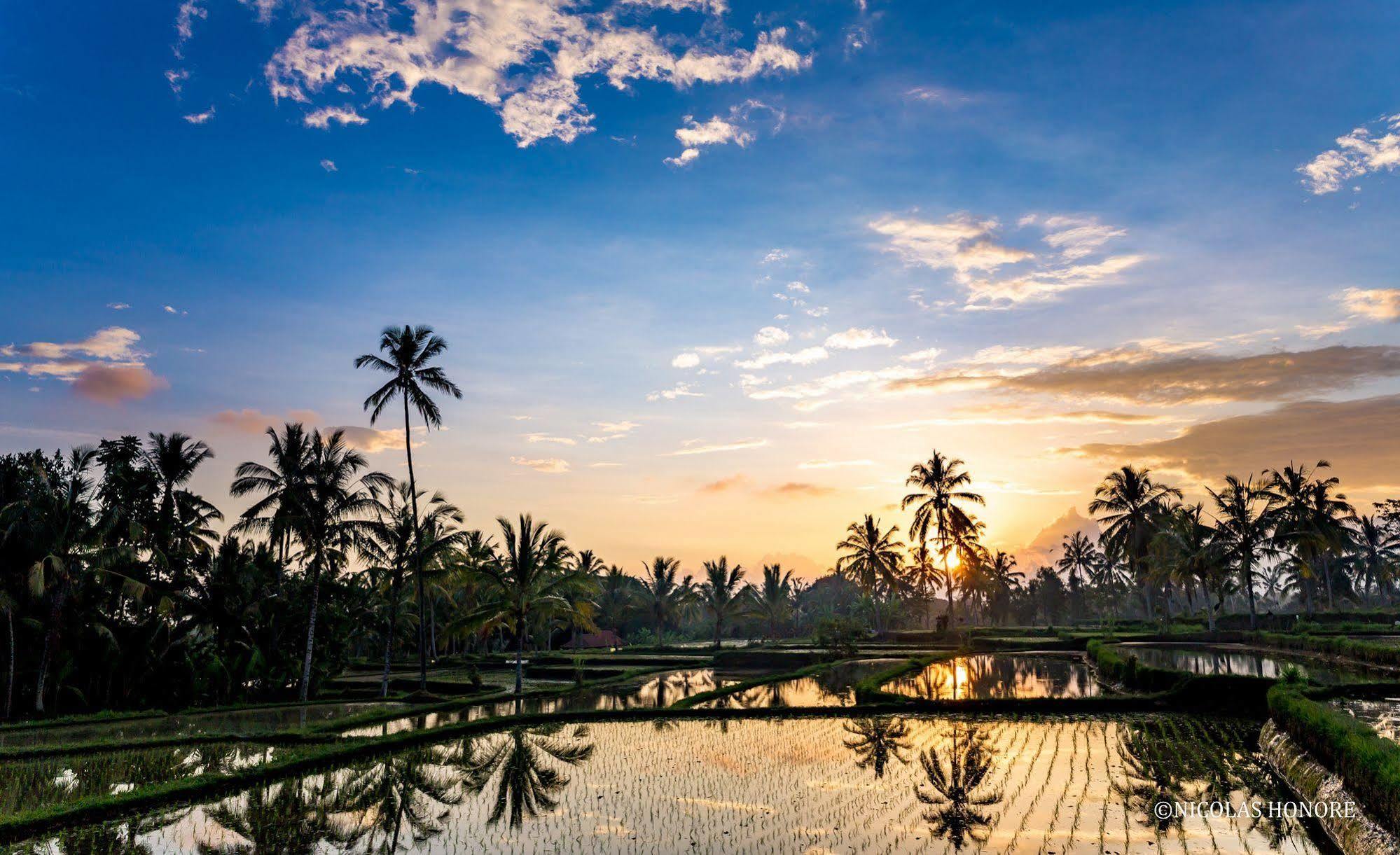 Hati Padi Cottages Ubud  Exterior photo